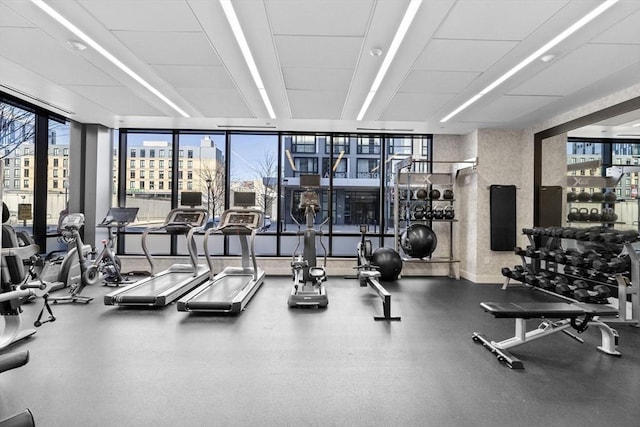 exercise room featuring a wall of windows