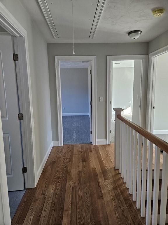 corridor with dark hardwood / wood-style floors