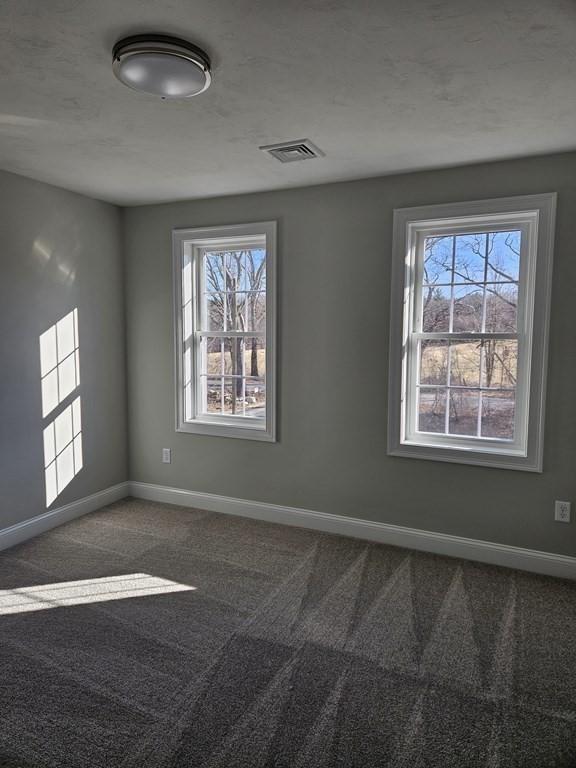 carpeted empty room featuring plenty of natural light