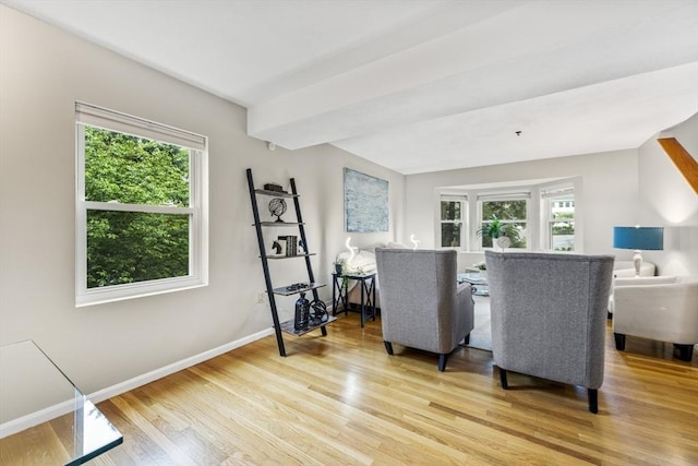 289 Market St Unit B, Boston, MA 02135 - living room with healthy amount of natural light, light wood-style floors, and baseboards