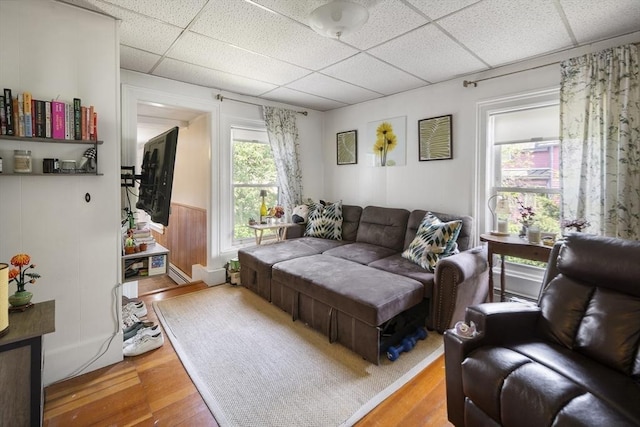38 Spring St, Somerville, MA 02143 - living room featuring a drop ceiling and wood finished floors