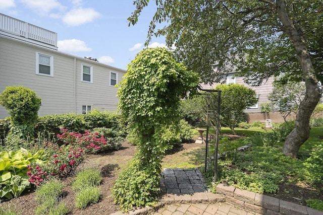 38 Spring St, Somerville, MA 02143 - view of yard