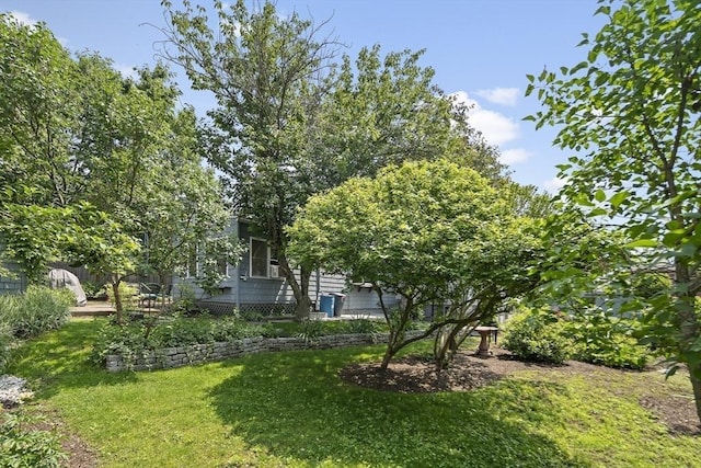 38 Spring St, Somerville, MA 02143 - view of green lawn