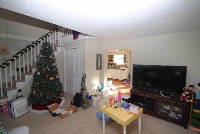 carpeted living room featuring electric panel