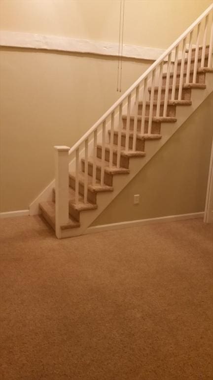 stairs with carpet flooring