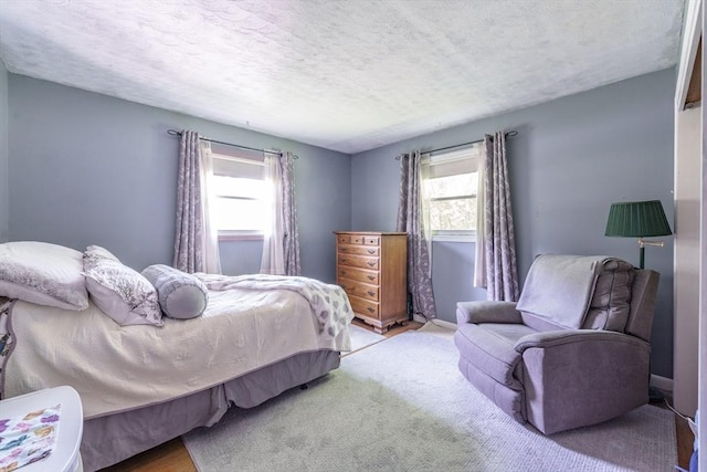 121 E St, Southampton, MA 01073 - bedroom featuring a textured ceiling and carpet