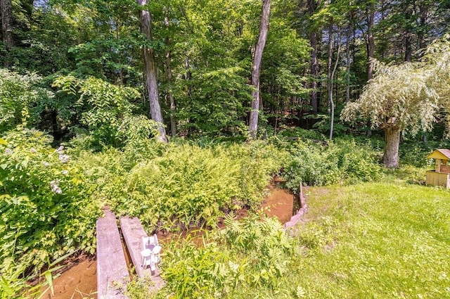 121 E St, Southampton, MA 01073 - view of yard