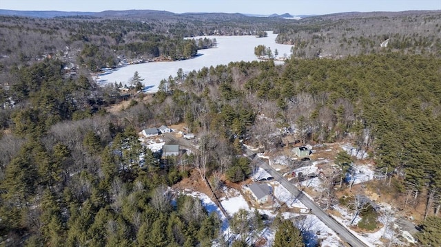 aerial view featuring a water view and a view of trees