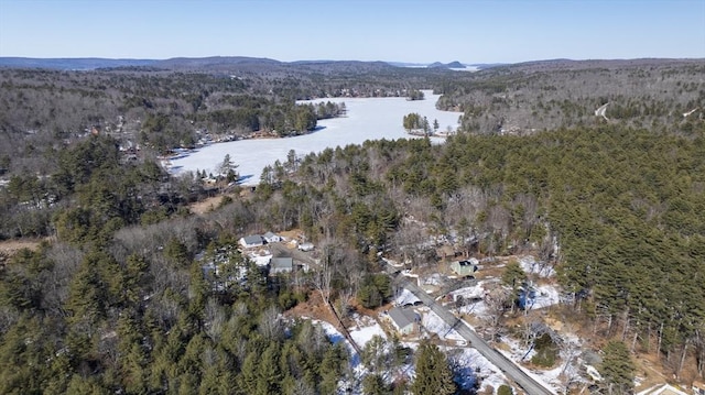 bird's eye view with a water view and a view of trees