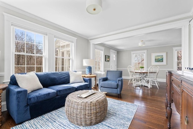 living area featuring dark wood finished floors, crown molding, and baseboards