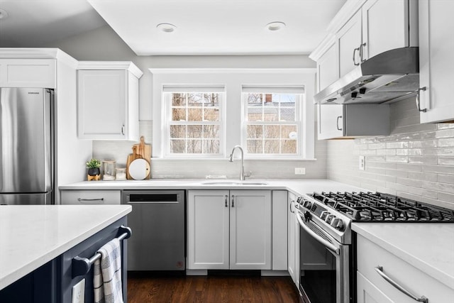 kitchen with a sink, stainless steel appliances, under cabinet range hood, and light countertops