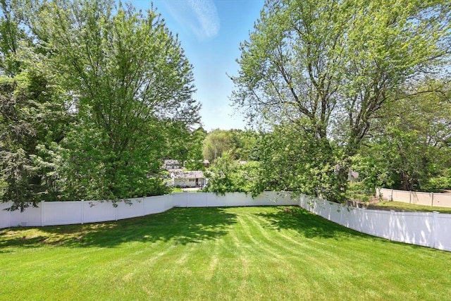 25 Saybrook Cir, South Hadley, MA 01075 - view of yard