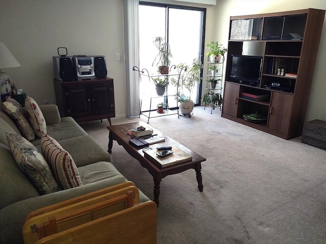 view of carpeted living area