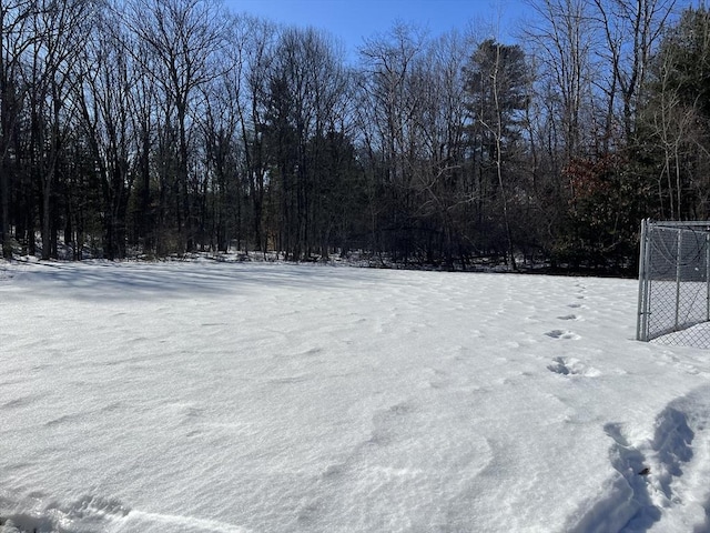 view of yard covered in snow