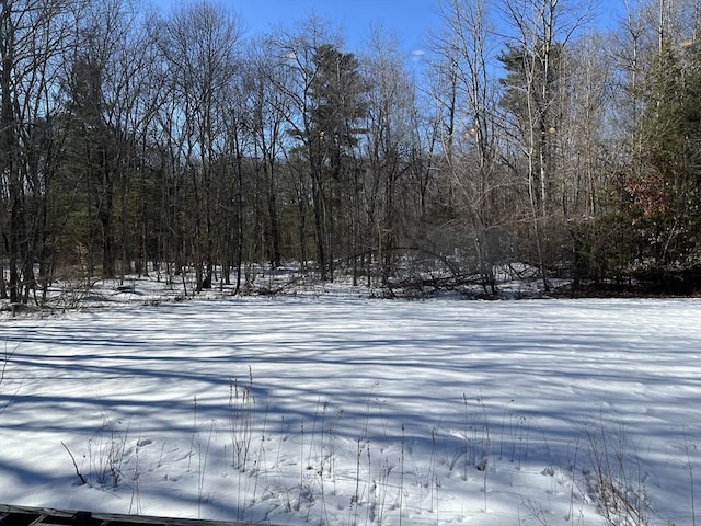 yard covered in snow with a wooded view