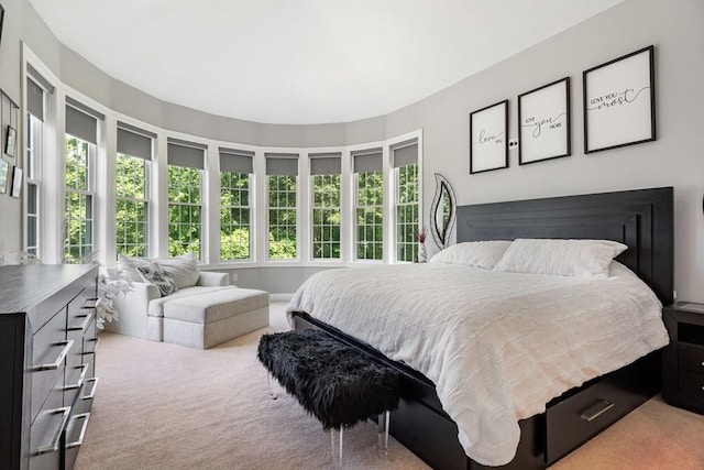31 Cedar St, North Reading, MA 01864 - view of carpeted bedroom