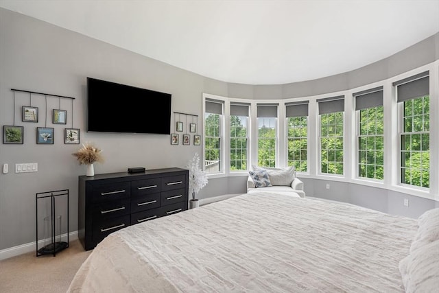 31 Cedar St, North Reading, MA 01864 - bedroom featuring light colored carpet and baseboards