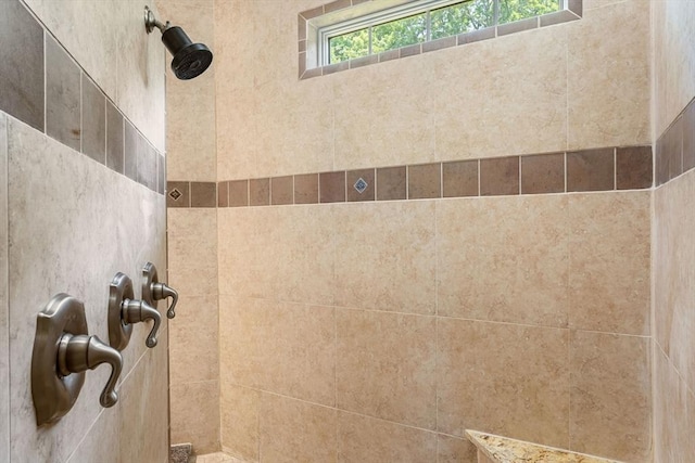 31 Cedar St, North Reading, MA 01864 - bathroom view of a tile shower
