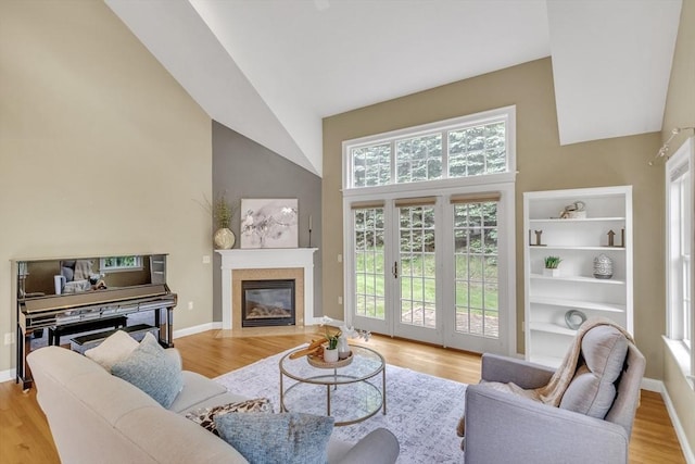 1 Chase Path Unit 1, Acton, MA 01720 - living area featuring high vaulted ceiling, wood finished floors, a fireplace with flush hearth, and baseboards