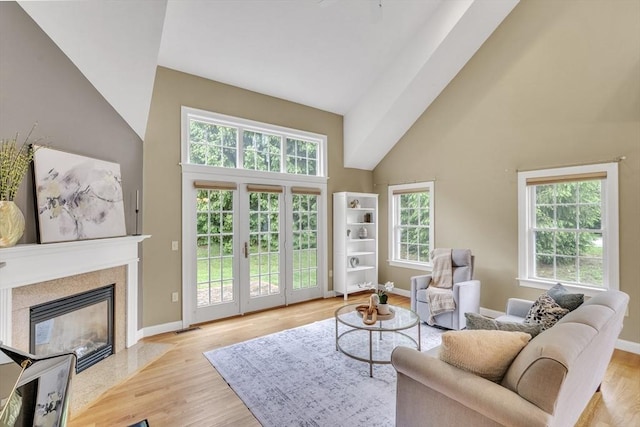 1 Chase Path Unit 1, Acton, MA 01720 - living area with high vaulted ceiling, baseboards, a fireplace, and light wood finished floors