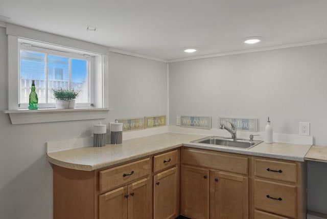 129 Northern Blvd, Newbury, MA 01951 - kitchen featuring a sink, light countertops, and ornamental molding