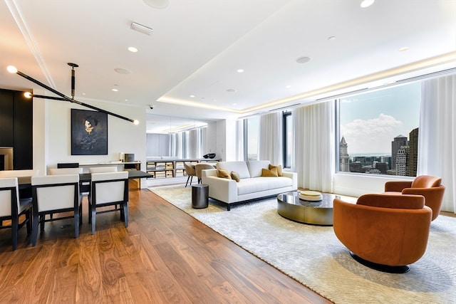 living room featuring wood-type flooring and a tray ceiling