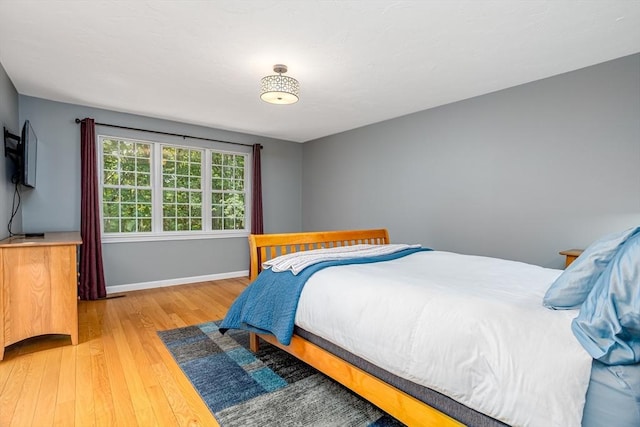 706 Ridgefield Cir Unit A, Clinton, MA 01510 - bedroom with light wood-type flooring and baseboards