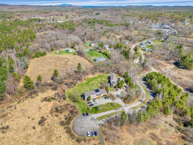 bird's eye view