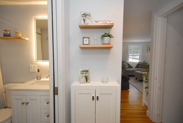 bathroom featuring wood finished floors and vanity