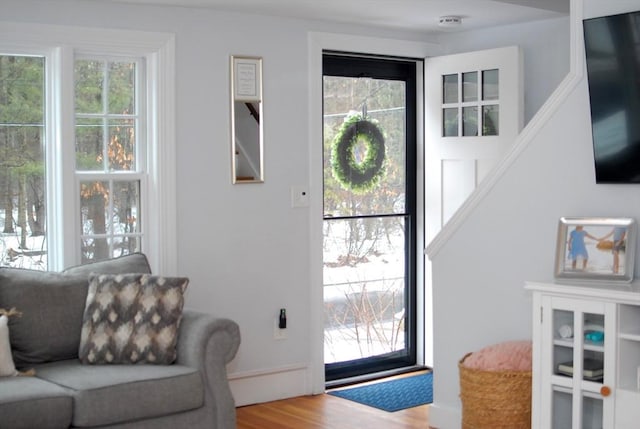 entryway featuring plenty of natural light and wood finished floors