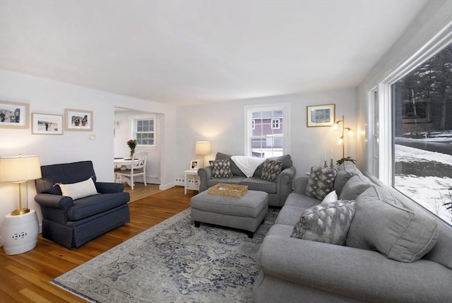 living room with wood finished floors