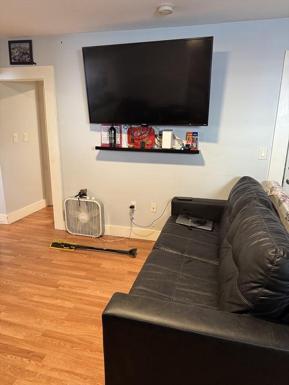 living room featuring light hardwood / wood-style flooring