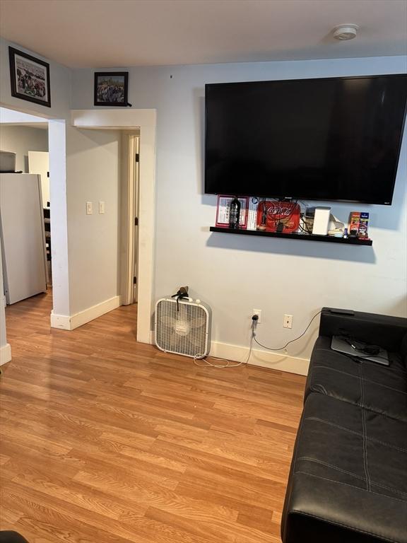 living room featuring light wood-type flooring