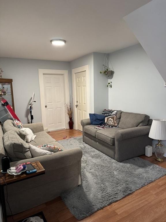 living room featuring wood-type flooring