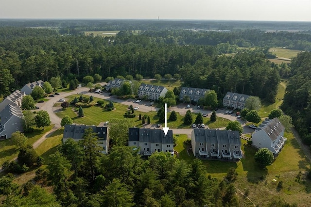 20 Copper Lantern Ln Unit 20, Carver, MA 02330 - aerial overview of property's location featuring a heavily wooded area