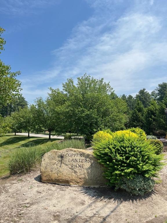 20 Copper Lantern Ln Unit 20, Carver, MA 02330 - view of home's community