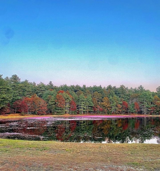 20 Copper Lantern Ln Unit 20, Carver, MA 02330 - view of yard featuring a water view and a wooded view