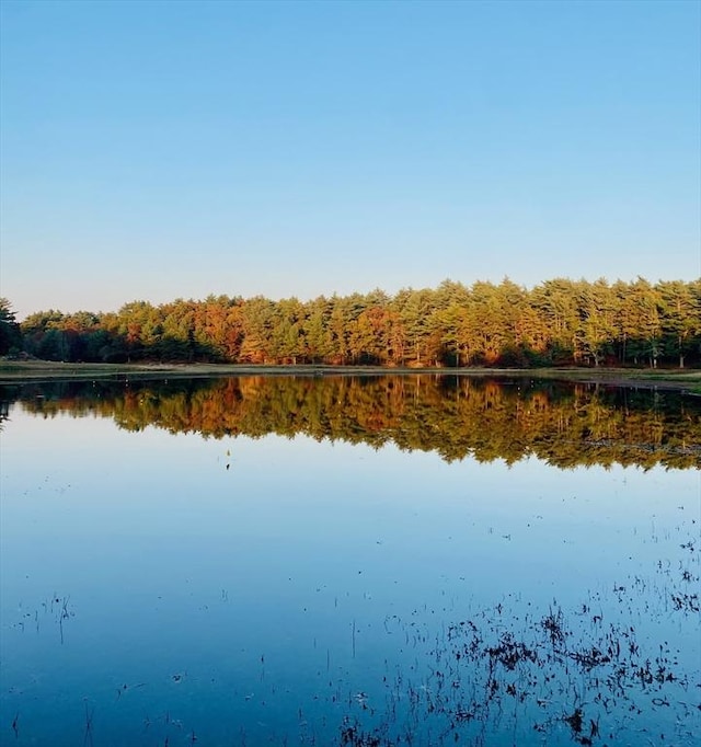 20 Copper Lantern Ln Unit 20, Carver, MA 02330 - water view with a forest