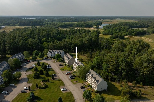 20 Copper Lantern Ln Unit 20, Carver, MA 02330 - aerial overview of property's location featuring a heavily wooded area