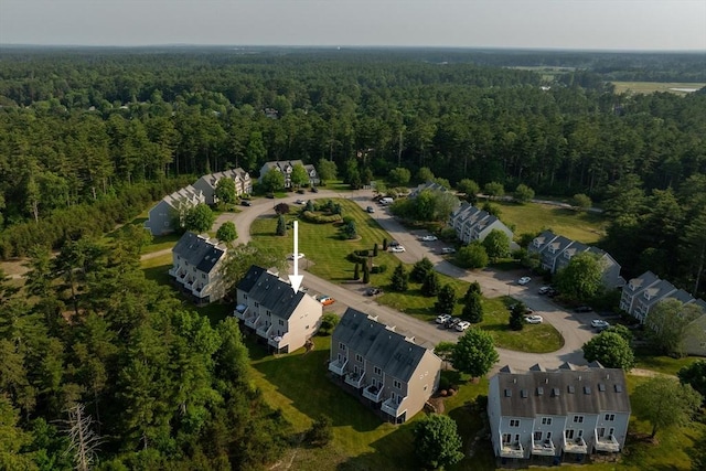 20 Copper Lantern Ln Unit 20, Carver, MA 02330 - aerial view of property's location featuring a forest