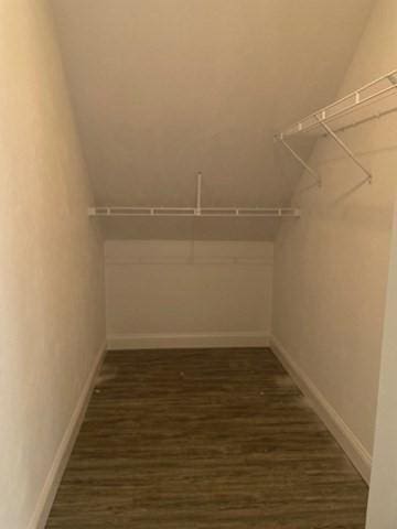 walk in closet with dark wood finished floors