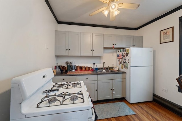 kitchen featuring gray cabinetry, sink, light hardwood / wood-style flooring, and white appliances