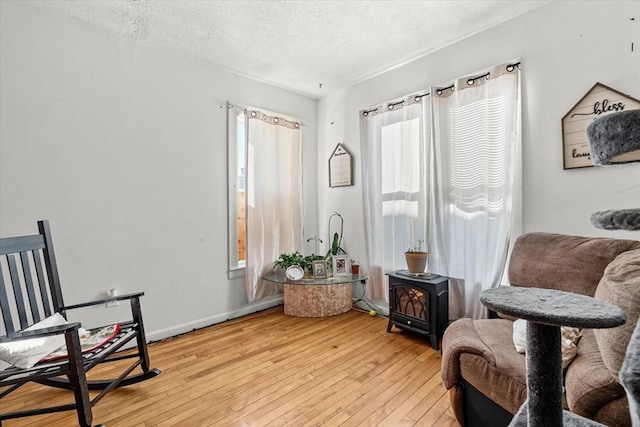 15 Russell St, Worcester, MA 01609 - sitting room featuring a wood stove, a textured ceiling, and light wood-style floors