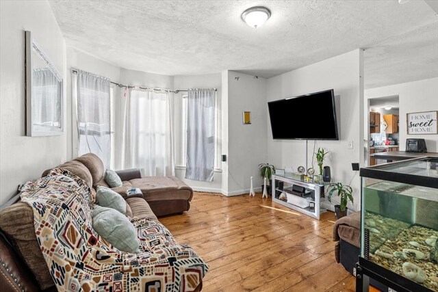 15 Russell St, Worcester, MA 01609 - living room featuring a textured ceiling, hardwood / wood-style floors, and baseboards