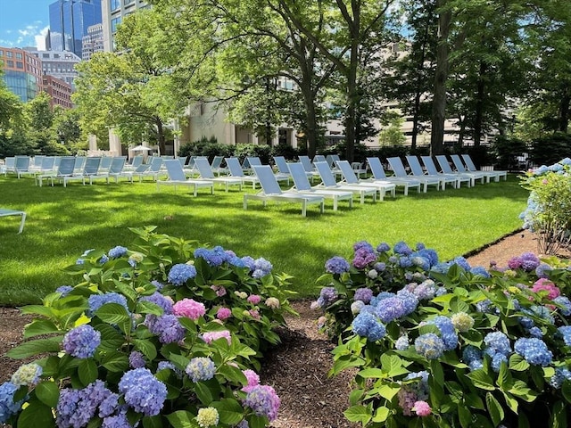 view of community with a lawn