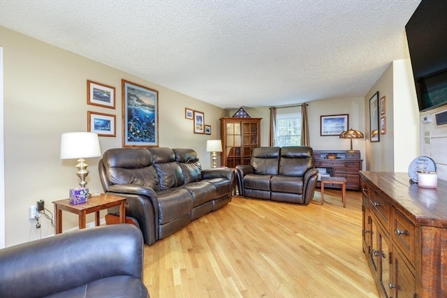 50 Kienia Rd, Hudson, NH 03051 - living room featuring light wood finished floors and a textured ceiling