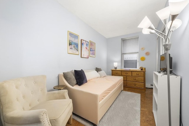 151 W 6th St Unit 1, Boston, MA 02127 - bedroom featuring wood finished floors and a baseboard radiator