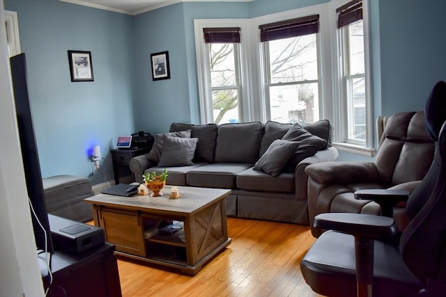 living room with light wood-style floors and crown molding