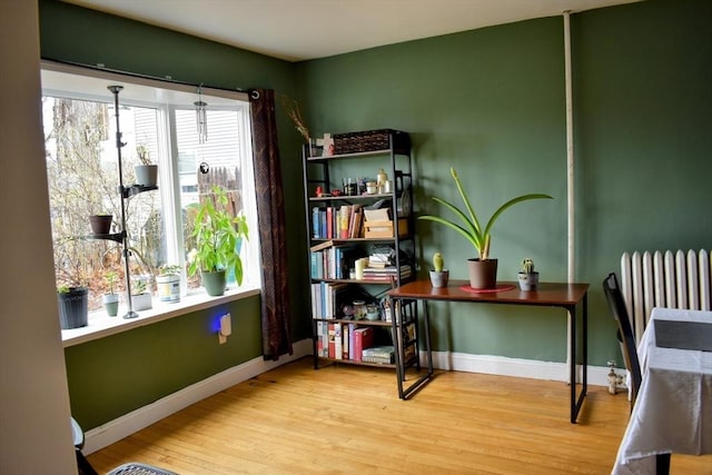 office with baseboards and wood finished floors