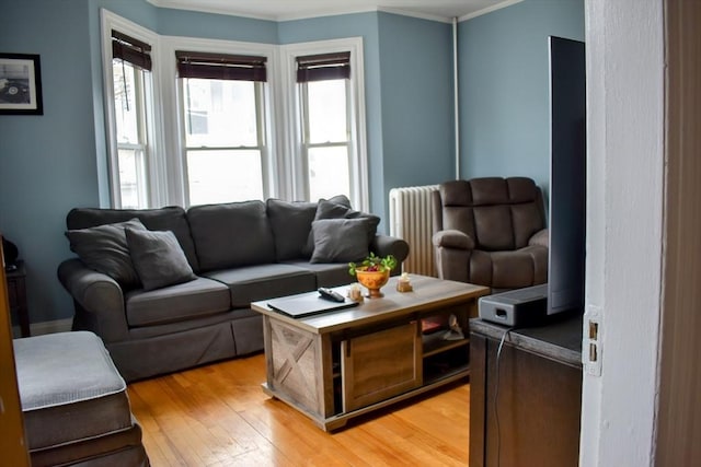 living area with ornamental molding, light wood-style flooring, and radiator